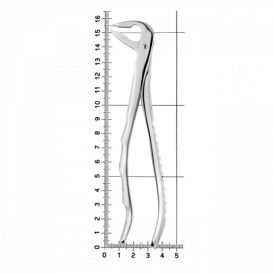 Щипцы для удаления зубов нижние премоляры